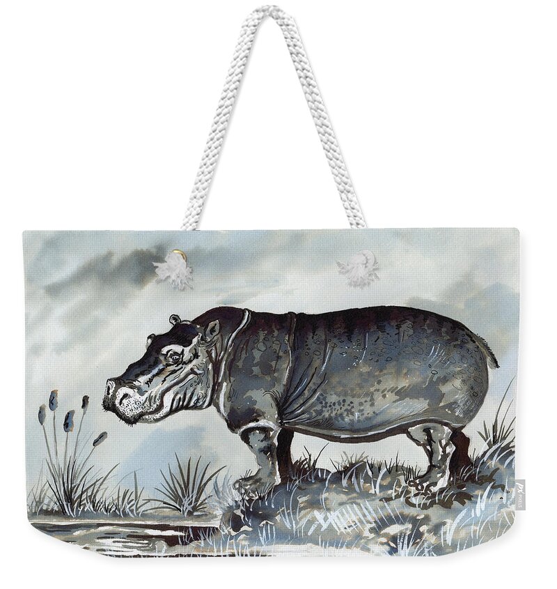 Grey Weekender Tote Bag featuring the drawing Hippo by Anthony Mwangi