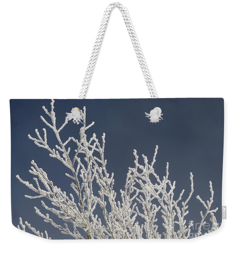 Nature Weekender Tote Bag featuring the photograph Hoarfrost On Willow by William H. Mullins