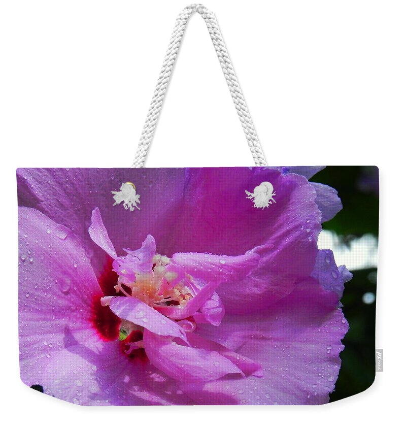 Flowers Weekender Tote Bag featuring the photograph Hollyhock by Patricia Greer