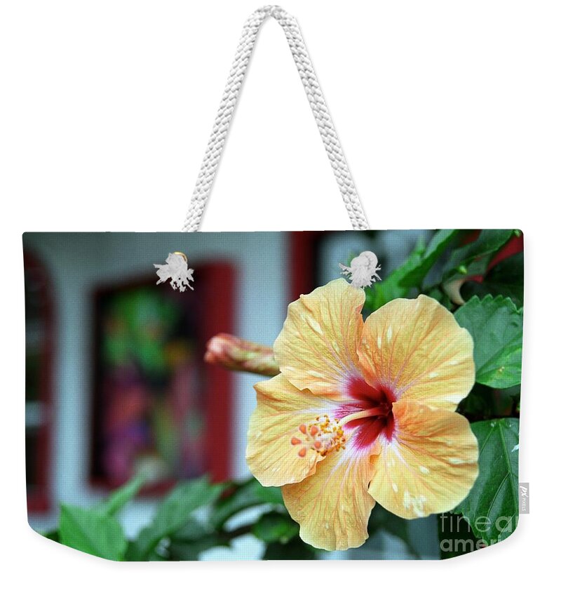 Hibiscus Weekender Tote Bag featuring the photograph Holualoa Hibiscus by James B Toy