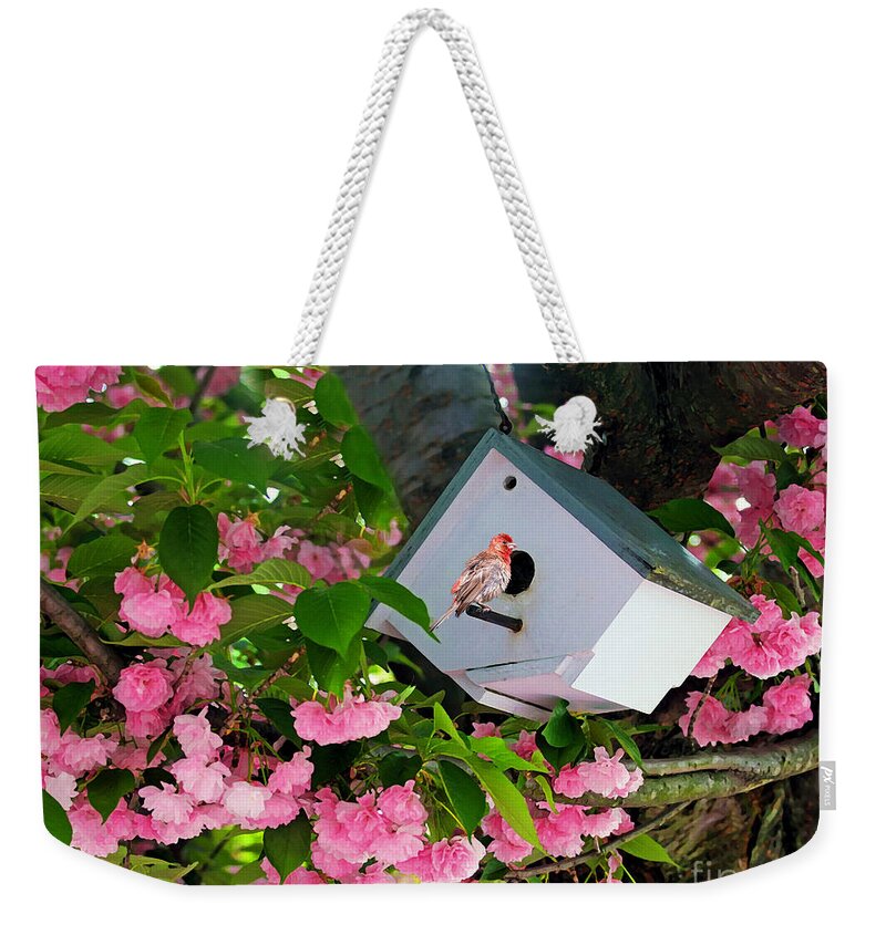 Nature Weekender Tote Bag featuring the photograph Home And Garden by Geoff Crego