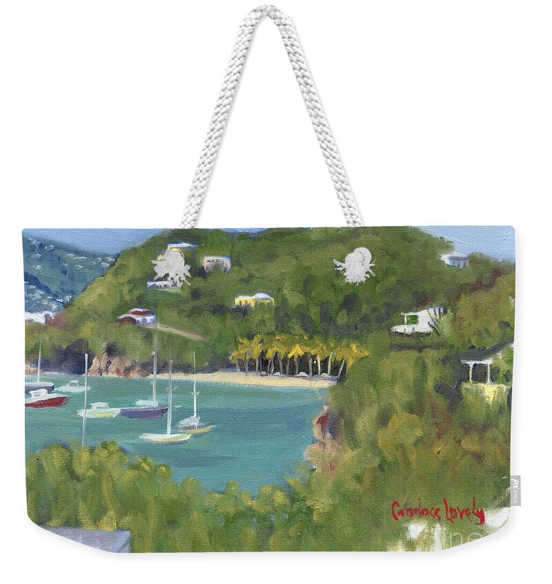 Island Weekender Tote Bag featuring the painting Birds Eye View Honeymoon Beach North by Candace Lovely