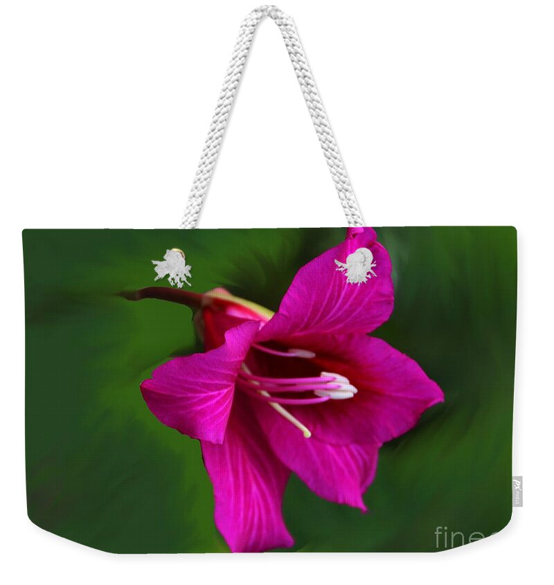 Bauhinia Blakeana Weekender Tote Bag featuring the photograph Hong Kong Orchid by Elizabeth Winter