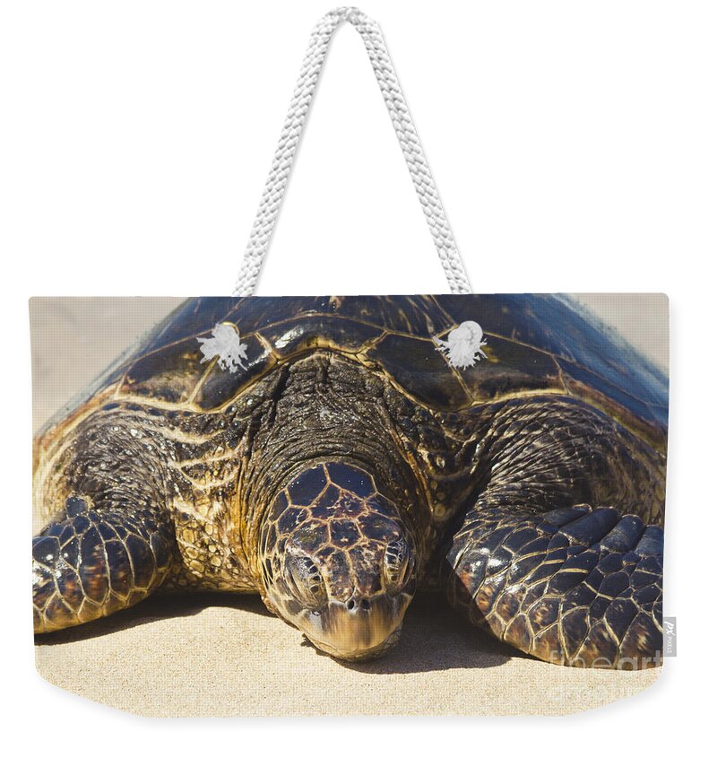 Honu Weekender Tote Bag featuring the photograph Honu Hawaiian Sea Turtle Hookipa Beach Maui North Shore Hawaii by Sharon Mau