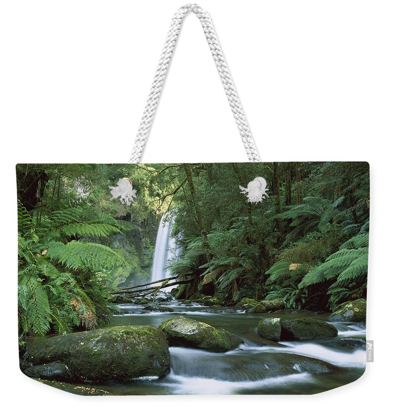 Feb0514 Weekender Tote Bag featuring the photograph Hopetoun Falls In The Rainforest by Konrad Wothe