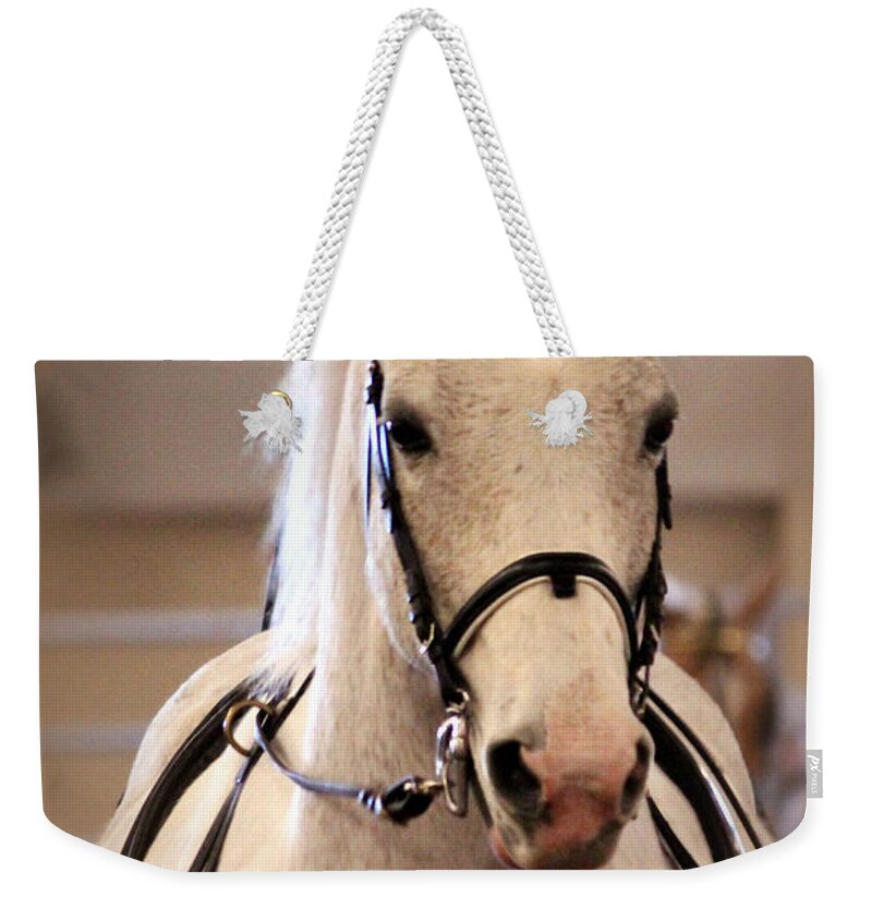 Horse Weekender Tote Bag featuring the photograph Horse Before the Cart by Lynn Sprowl