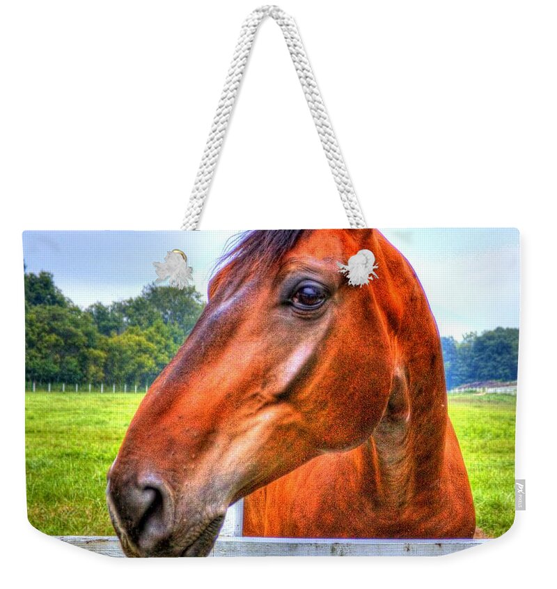 Horse Weekender Tote Bag featuring the photograph Horse Closeup by Jonny D