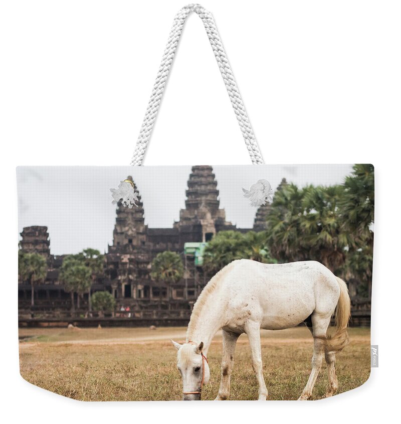 Horse Weekender Tote Bag featuring the photograph Horse In Front Of Angkor Wat Temple by Miha Pavlin
