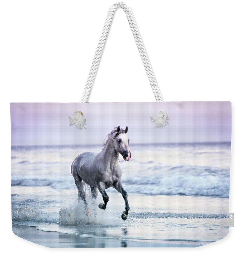 Horse Weekender Tote Bag featuring the photograph Horse Running On Beach by Lisa Van Dyke