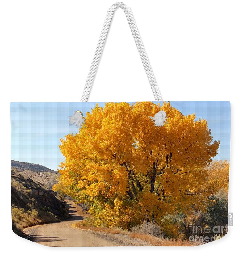 Colorado Weekender Tote Bag featuring the photograph Horse Thief Canyon Gold by Bob Hislop