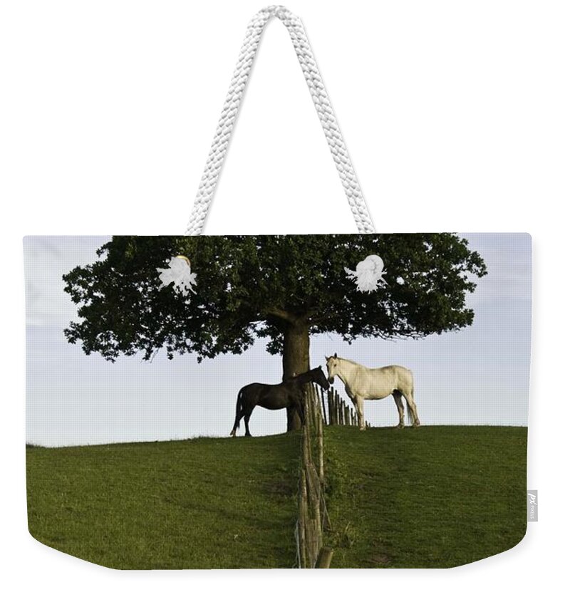 Cheshire Weekender Tote Bag featuring the photograph Horse Whisperers  by James Lavott