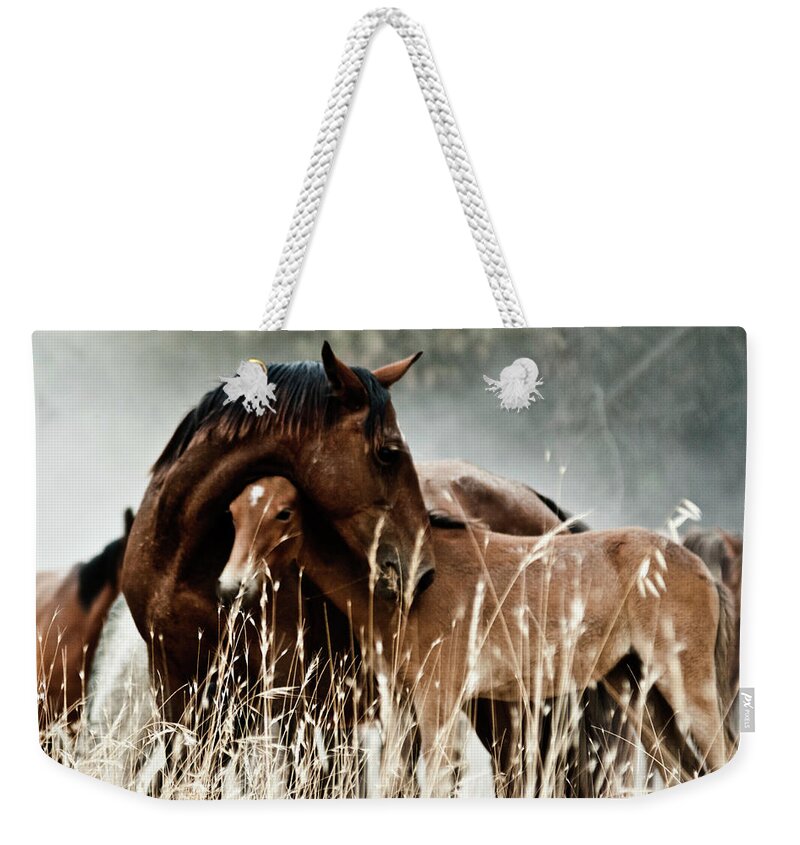 Horse Weekender Tote Bag featuring the photograph Horse With Foal by Fran Maldonado