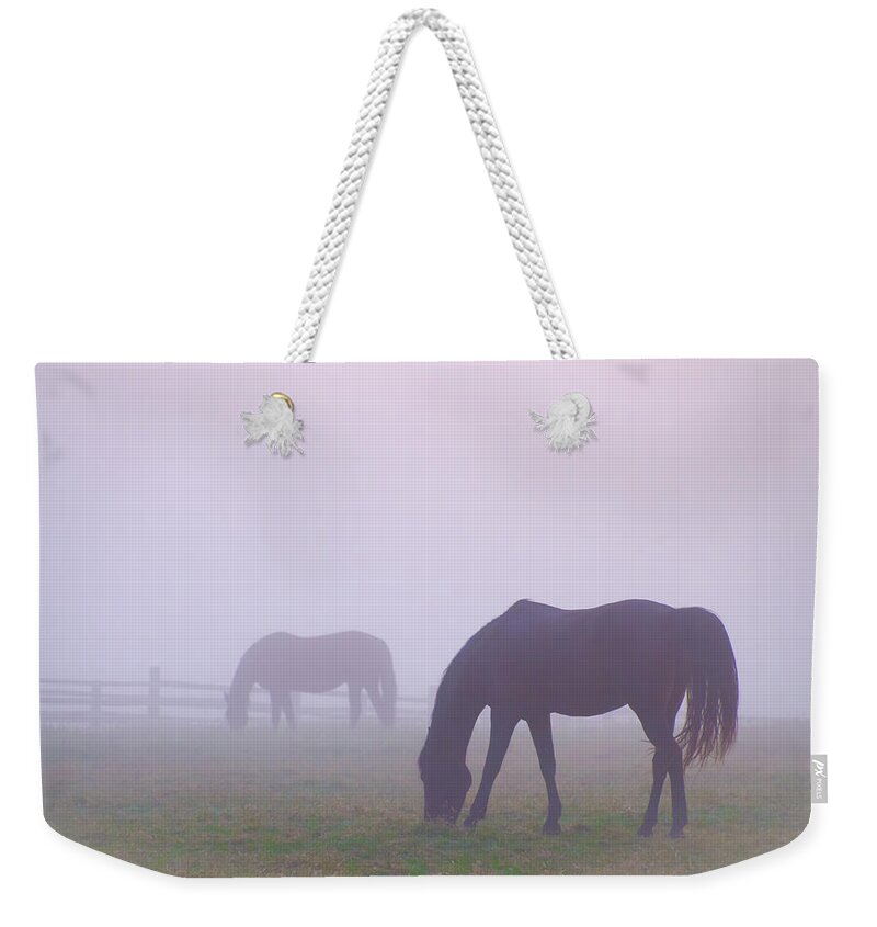 Horses Weekender Tote Bag featuring the photograph Horses in a Fog by Bill Cannon