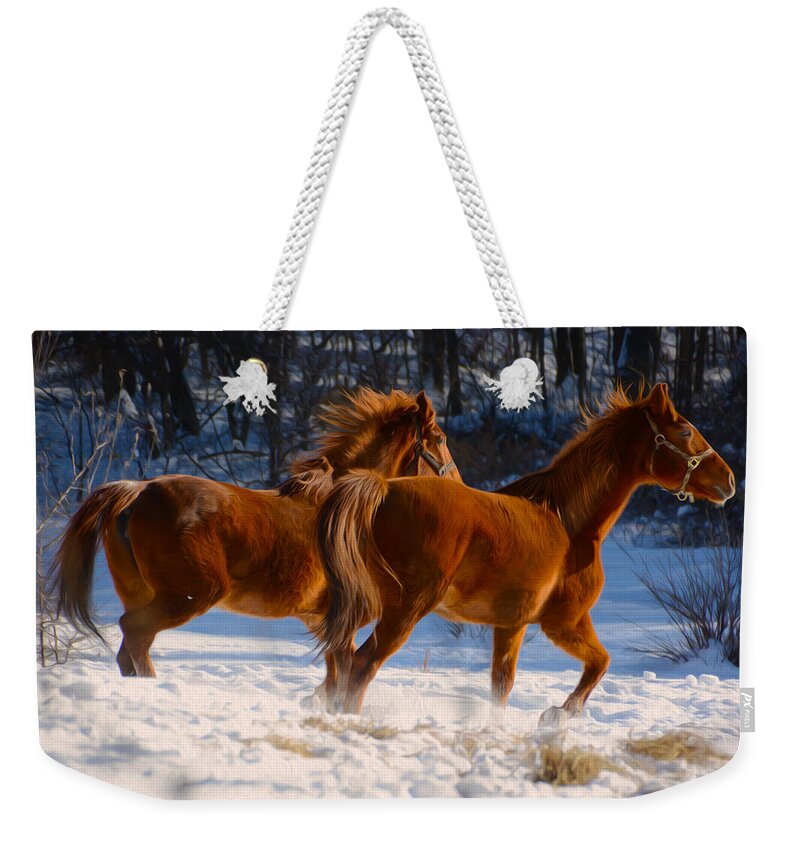 Horse Weekender Tote Bag featuring the photograph Horses in motion by Tracy Winter