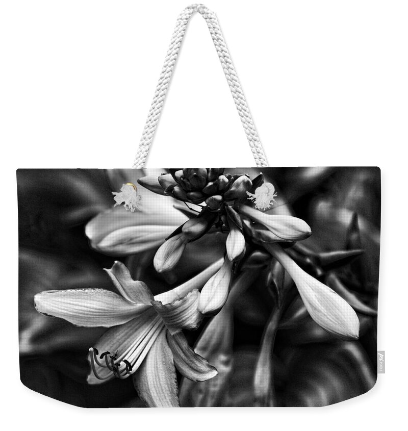 Hosta Flowers Weekender Tote Bag featuring the photograph Hosta Lilies by Bellesouth Studio