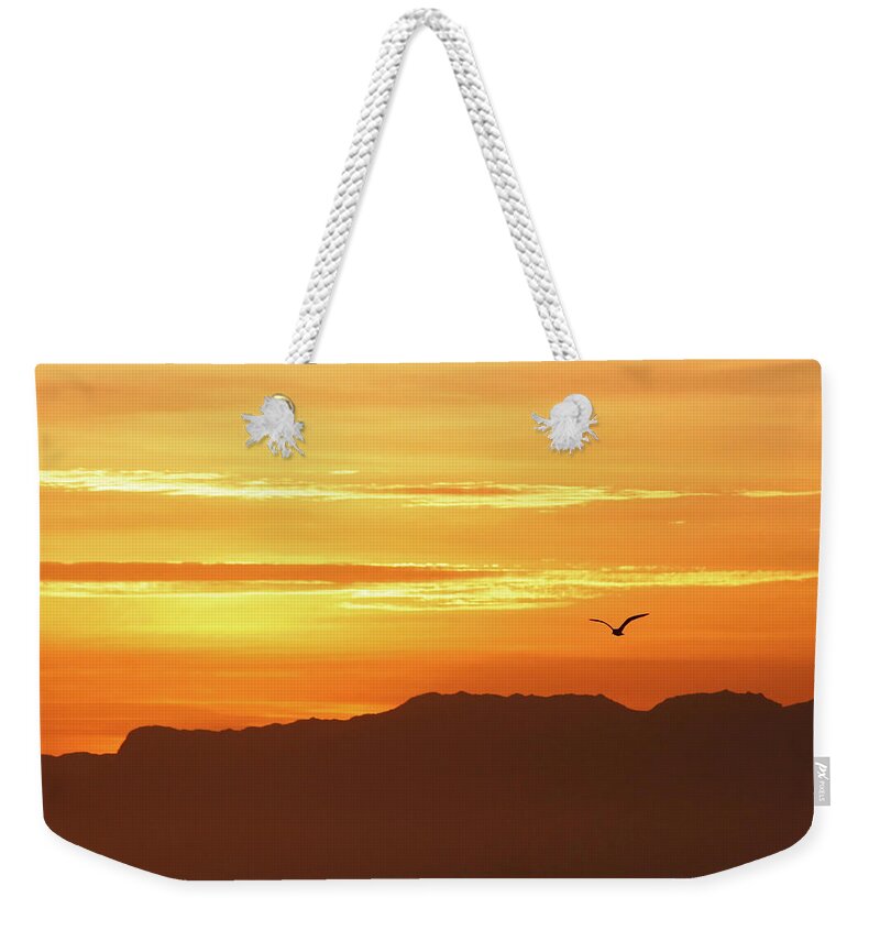 Fine Art America Weekender Tote Bag featuring the photograph Hot Morning by Andrew Hewett