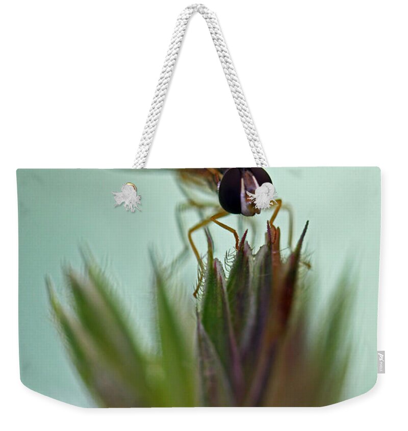 Insects Weekender Tote Bag featuring the photograph Hover Bugs by Jennifer Robin