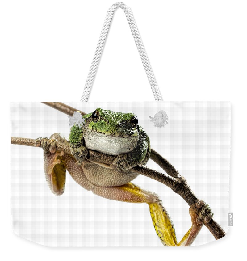 Frog Weekender Tote Bag featuring the photograph How You Doin? by John Crothers