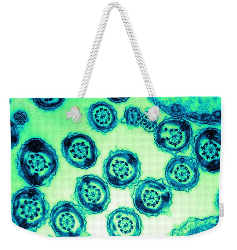 Transmission Electron Micrograph Weekender Tote Bag featuring the photograph Human Sperm Tails, Tem by David M. Phillips