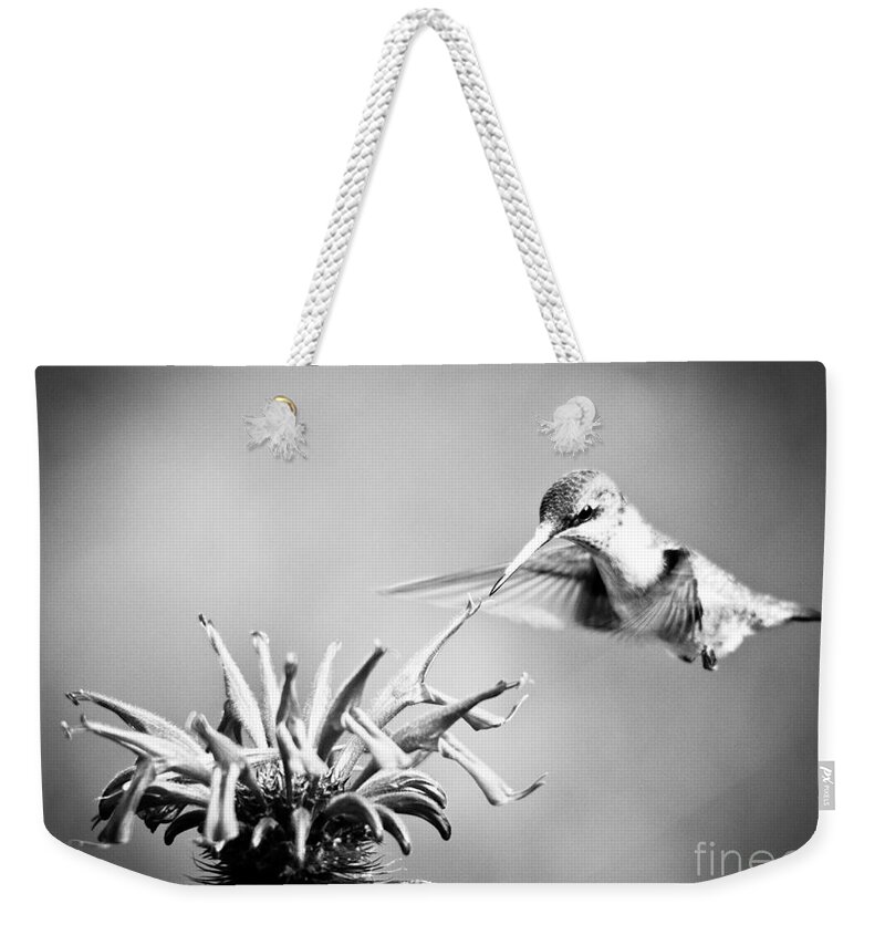 Black And White Weekender Tote Bag featuring the photograph Hummingbird Black and White by Cheryl Baxter