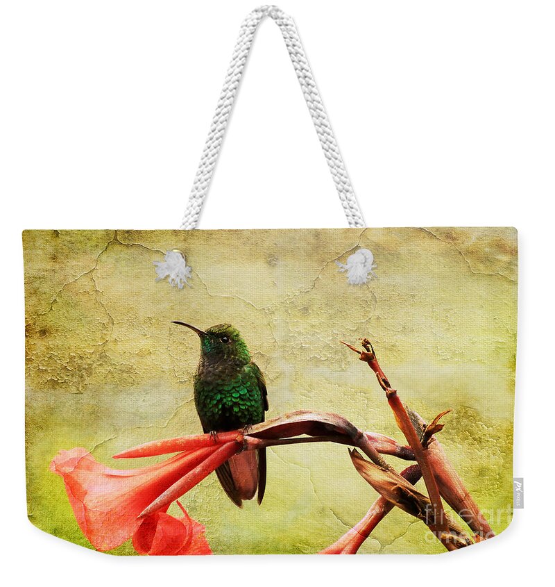 Bird Weekender Tote Bag featuring the photograph Hummingbird 1 by Teresa Zieba
