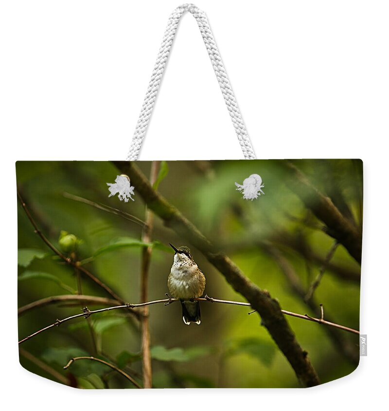 Hummingbird Weekender Tote Bag featuring the photograph Hummingbird 3 by Tammy Schneider