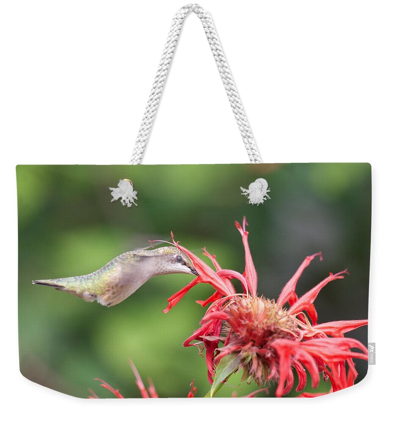 Birds Weekender Tote Bag featuring the photograph Hummingbird Defying Gravity by Kristin Hatt
