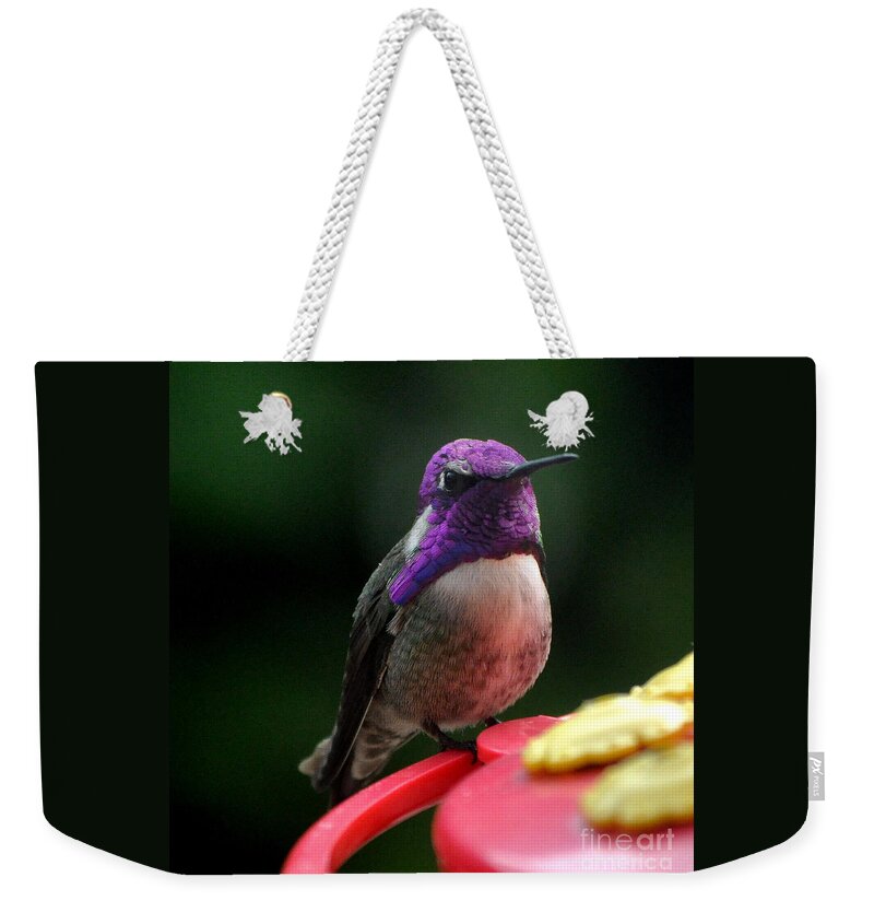 Hummingbird Weekender Tote Bag featuring the photograph Hummingbird Male Costa's by Jay Milo