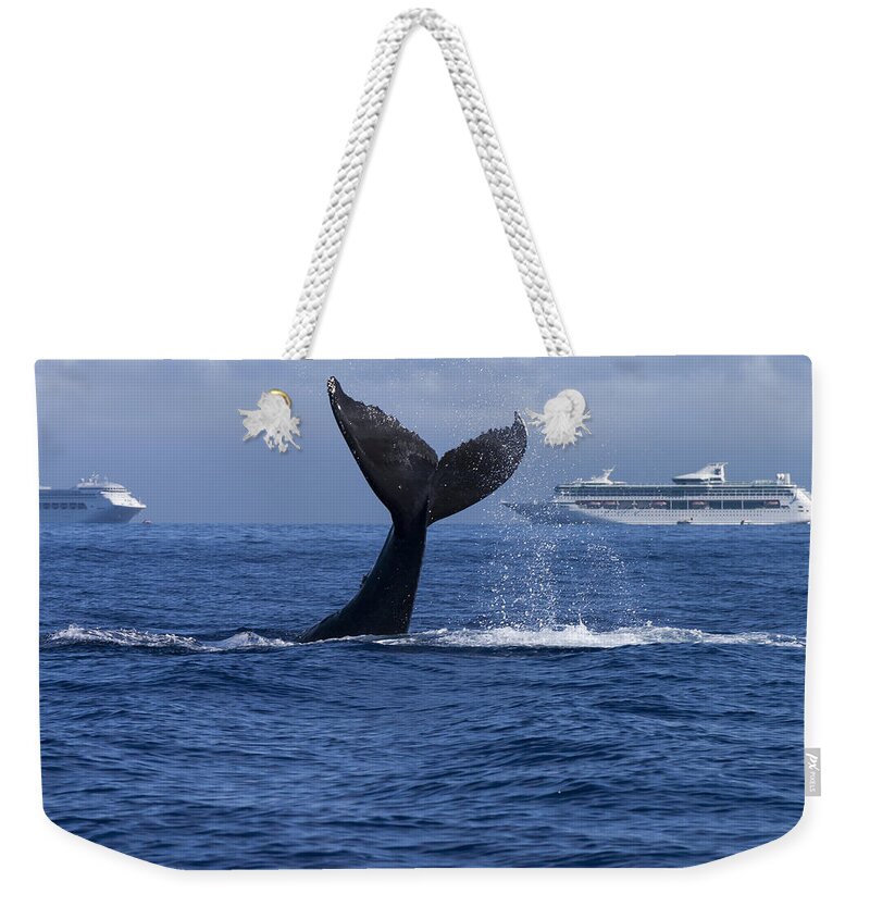 00999146 Weekender Tote Bag featuring the photograph Humpback Whale Tail Lobbing in Maui by Flip Nicklin