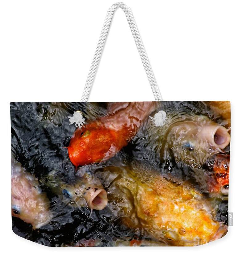Fish Weekender Tote Bag featuring the photograph Hungry Koi Fish by John Swartz