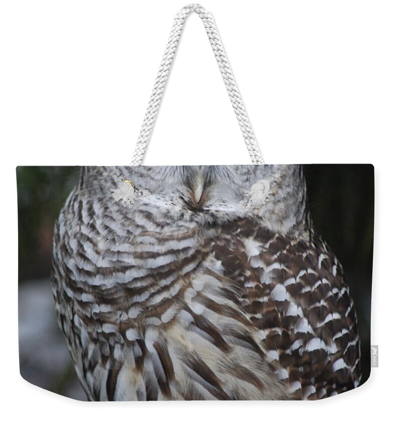 Raptor Weekender Tote Bag featuring the photograph Hunter by Sharon Elliott
