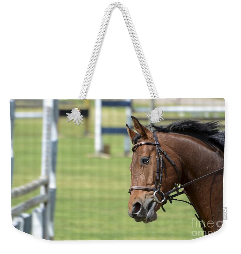 Horse Racing Weekender Tote Bag featuring the photograph Hurdle Race by Amir Paz