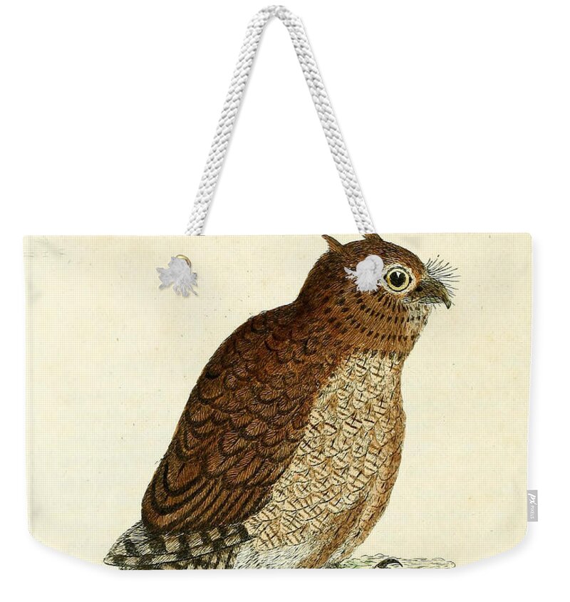 Hutum Weekender Tote Bag featuring the painting Hutum Owl by Philip Ralley