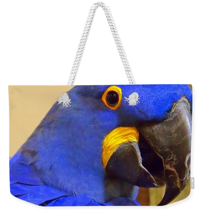 Bird Weekender Tote Bag featuring the photograph Hyacinth Macaw Portrait by Lingfai Leung