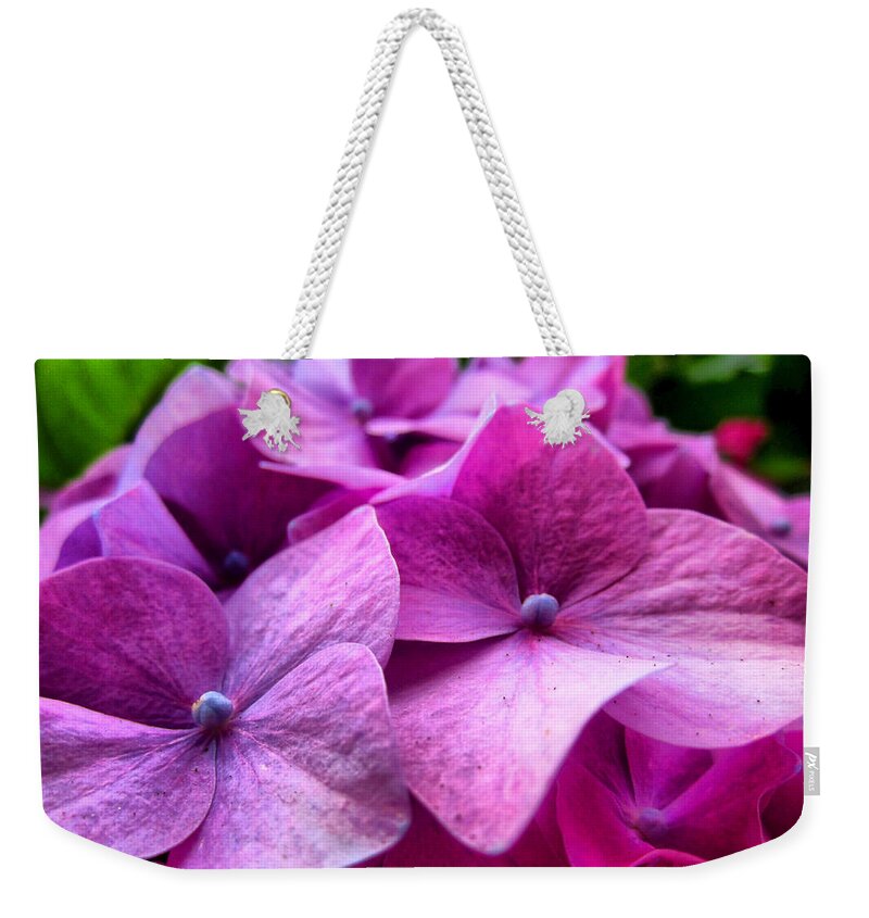 Hydrangea Weekender Tote Bag featuring the photograph Hydrangea Bliss by Spencer Hughes