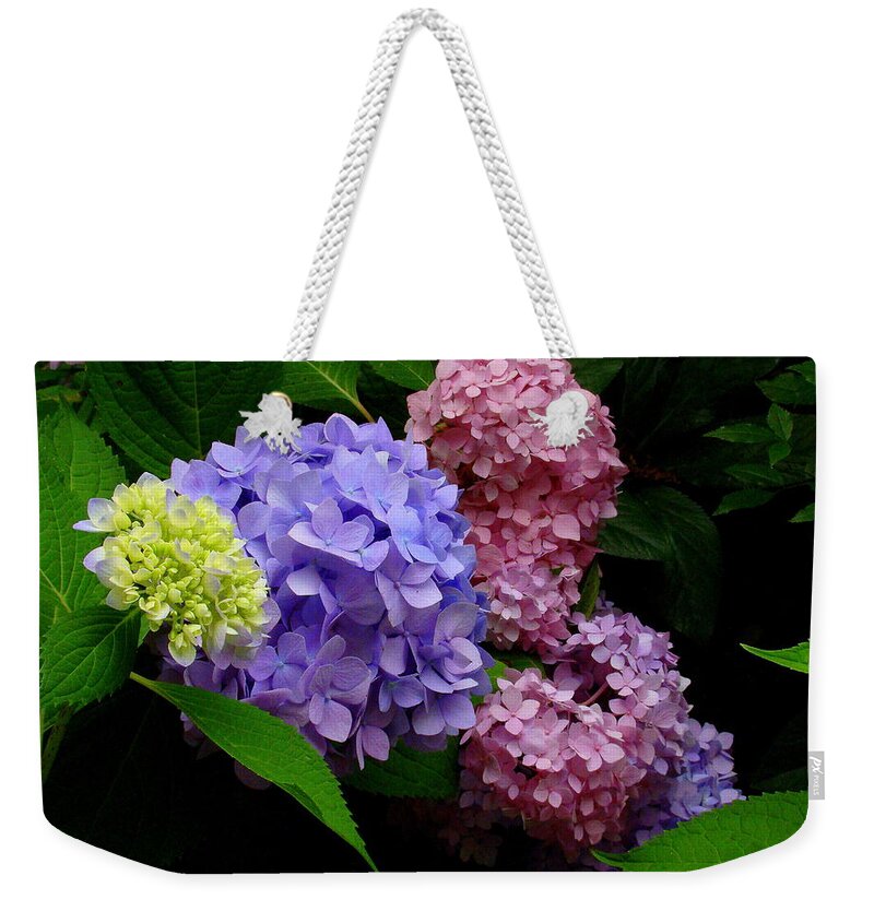 Fine Art Weekender Tote Bag featuring the photograph Hydrangea Glow by Rodney Lee Williams
