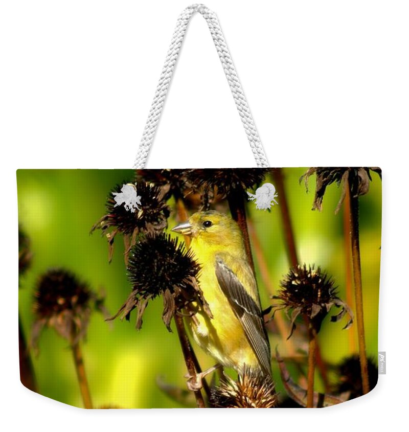 American Goldfinch Weekender Tote Bag featuring the photograph I am a Flower Stalk Do You See Me by Carol Montoya