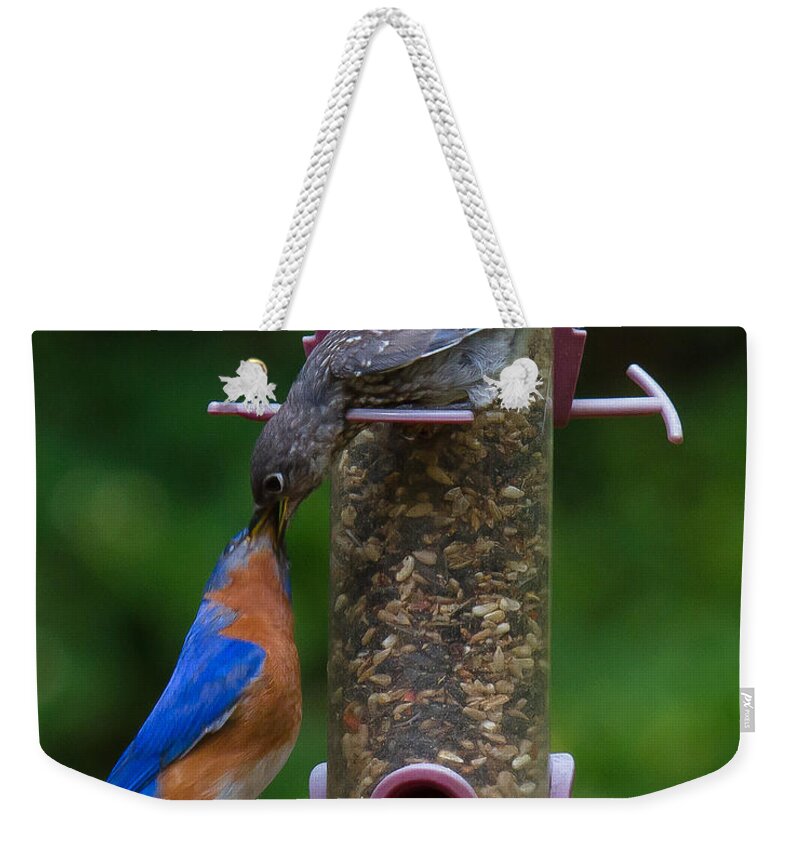 Bluebird Weekender Tote Bag featuring the photograph I Got It Dad by Robert L Jackson