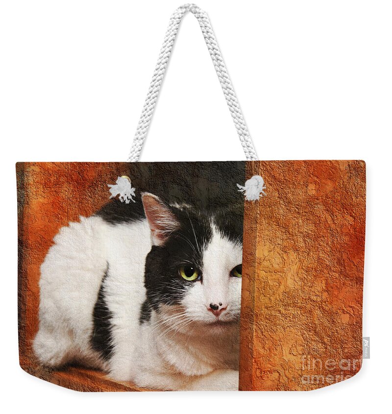 Cat Weekender Tote Bag featuring the photograph I Have My Eye On You by Andee Design