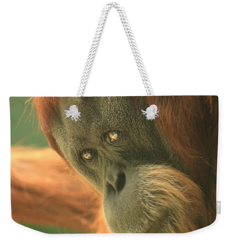 Mood Weekender Tote Bag featuring the photograph I See You There by Laddie Halupa