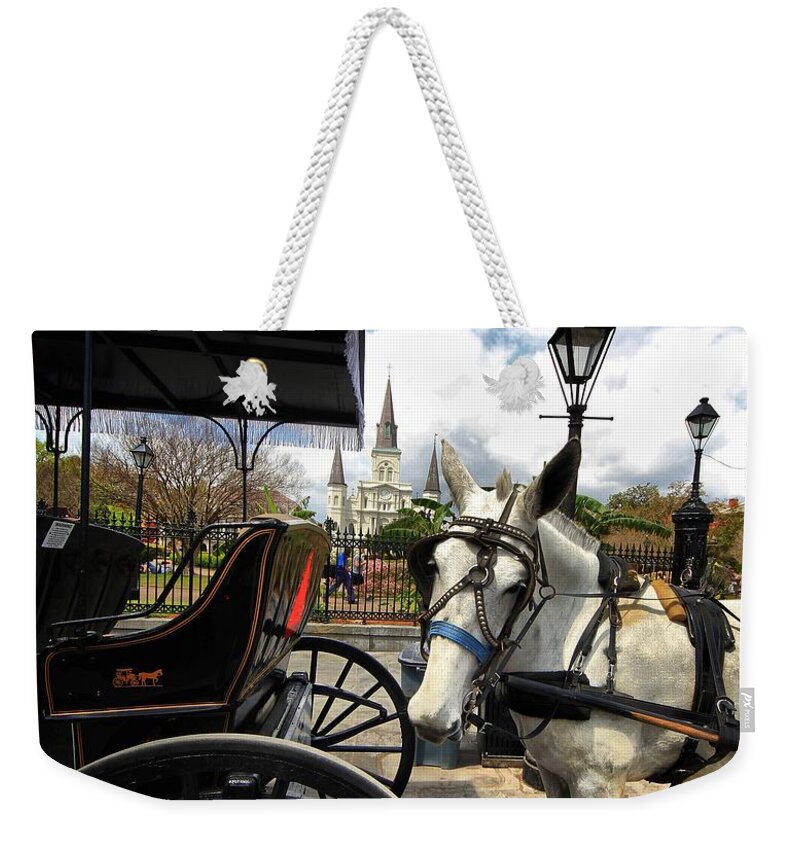 Horses Weekender Tote Bag featuring the photograph I told em cart BEFORE by Robert McCubbin