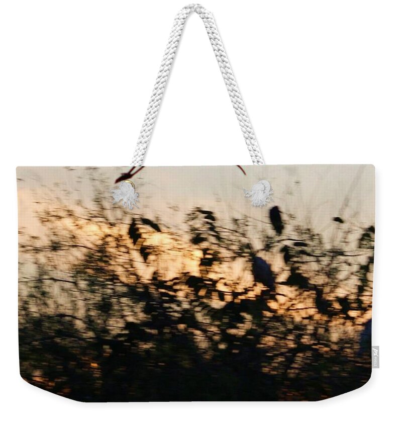 Silhouette Weekender Tote Bag featuring the photograph Ibis Silhouette by Chuck Hicks