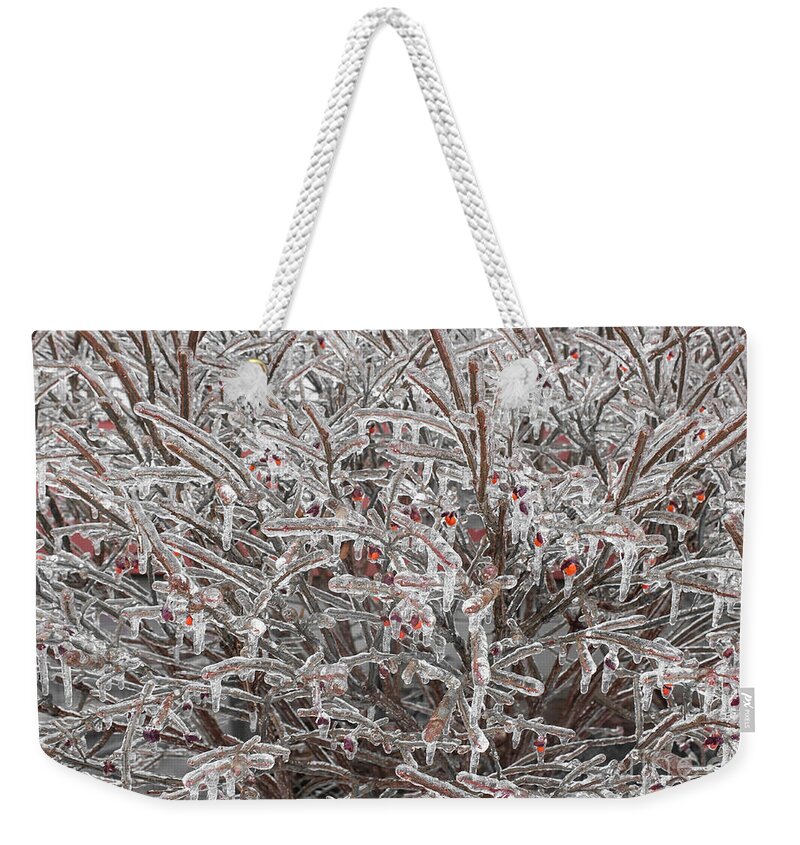 Ice Weekender Tote Bag featuring the photograph Ice Abstract 1 by Barbara McMahon