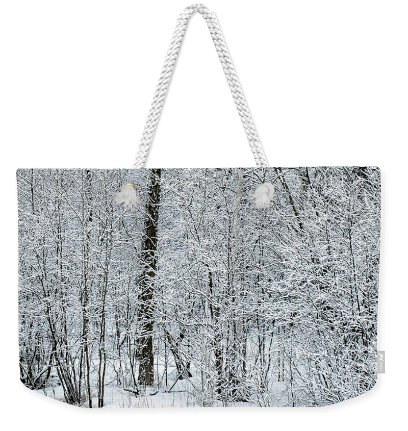 Wall Art Weekender Tote Bag featuring the photograph Ice Fairy by Gwen Gibson