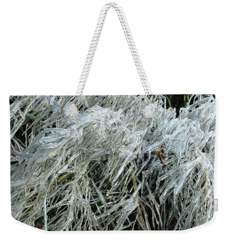 Ice Weekender Tote Bag featuring the photograph Ice On Bamboo Leaves by Daniel Reed