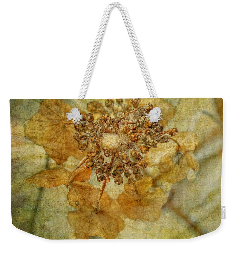 Hydrangea Weekender Tote Bag featuring the photograph Iced Lace Cap Hydrangea by Carol Senske