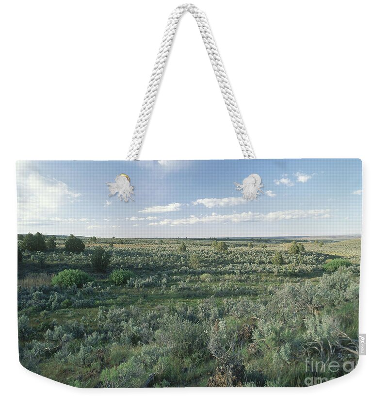 Owyhee Uplands Weekender Tote Bag featuring the photograph Idaho Sagebrush Steppe by William H. Mullins