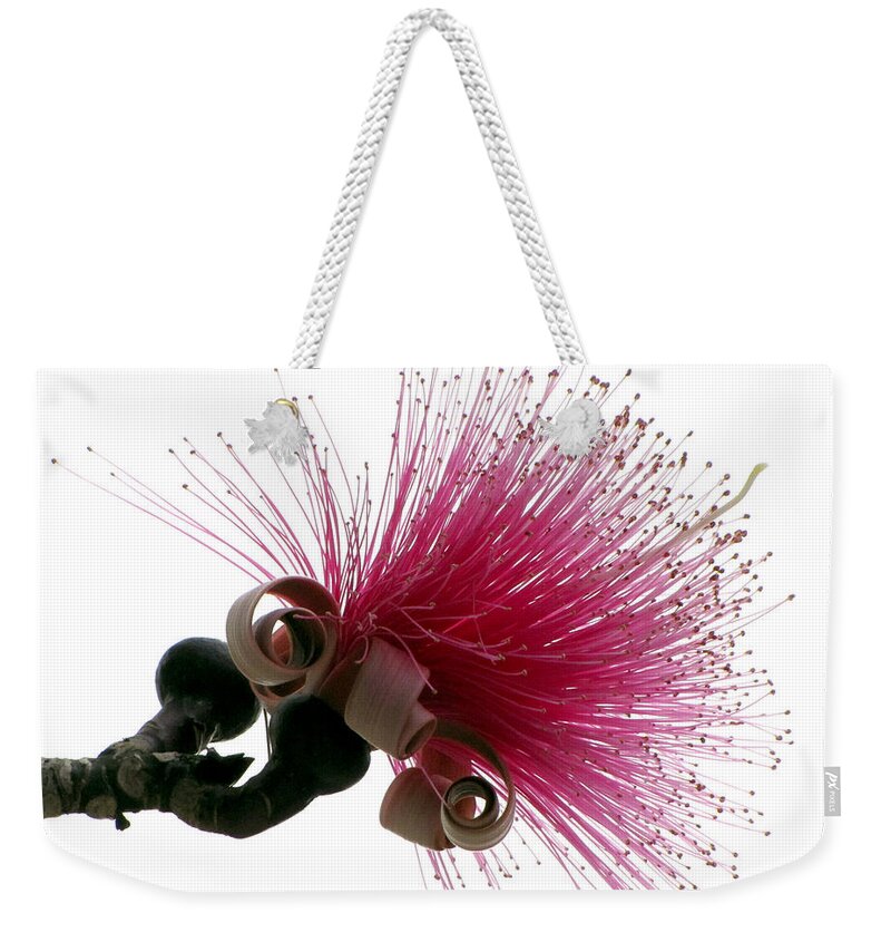 Paintbrush Weekender Tote Bag featuring the photograph Im a Flower by Bob Slitzan
