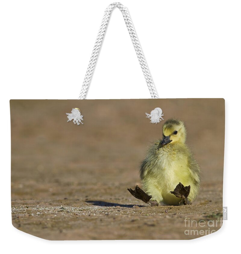 Baby Goose Weekender Tote Bag featuring the photograph I'm falling by Bryan Keil