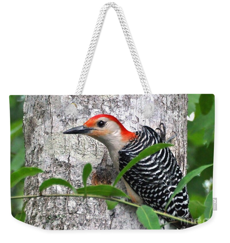 Woodpecker Weekender Tote Bag featuring the photograph I'm So Handsome - Red Bellied Woodpecker by Kathy Baccari